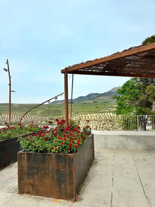 Los Molinos Quesada Dış mekan fotoğraf