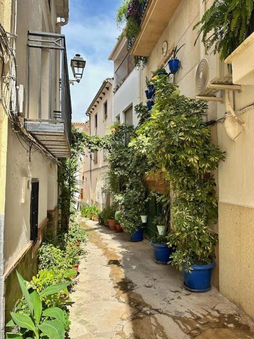 Los Molinos Quesada Dış mekan fotoğraf